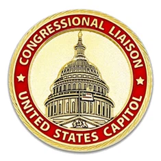 파이버 레이저 조각용 금속 도금 황동 빈 도전 동전